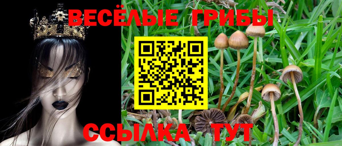 Псилоцибиновые грибы ЛСД Россия