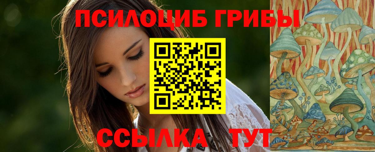 Россия  Галлюциногенные грибы прущие грибы  Галлюциногенные грибы мухоморы  Вход с VPN 