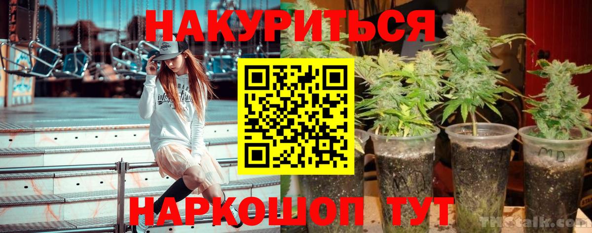 Шишки марихуана марихуана Россия
